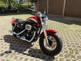 Harley-Davidson Xl1200CA - HARLEY-DAVIDSON NAKED BIKE