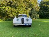 Jaguar XK 120 FHC Bj.1952