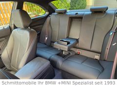 BMW M2 - Vorschau 39