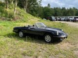 Alfa Romeo Spider - Alfa Romeo Spider aus 1989