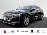 Audi e-tron 50 quattro advanced 50 quattro advanced