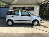 Fiat Panda 1.2 8V Dynamic/Klima/el.FH/Allwetter - Fiat Panda in Berlin