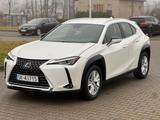 Lexus UX 250h - - weiße Lexus UX