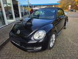 Volkswagen Beetle Cabriolet Design - Volkswagen Beetle: Leder