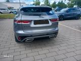 Jaguar F-Pace P400 R-DYNAMIC HSE AWD R-DYNAMIC HSE - Jaguar Gebrauchtwagen in Mannheim