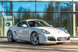 Porsche Cayman Basis - Porsche Cayman aus 2009