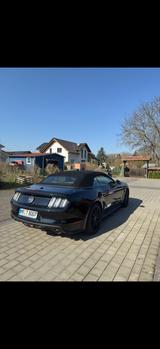 Ford Mustang 5.0 Ti-VCT V8 GT Auto GT - Ford Mustang mit Benzin-Antrieb: Cabrio, 5.0