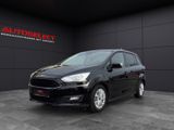Ford Grand C-Max 2.0 Business Edi Pano Navi Temp Kame - Ford Grand C-Max mit Diesel-Antrieb: Kleinbus, 2.0
