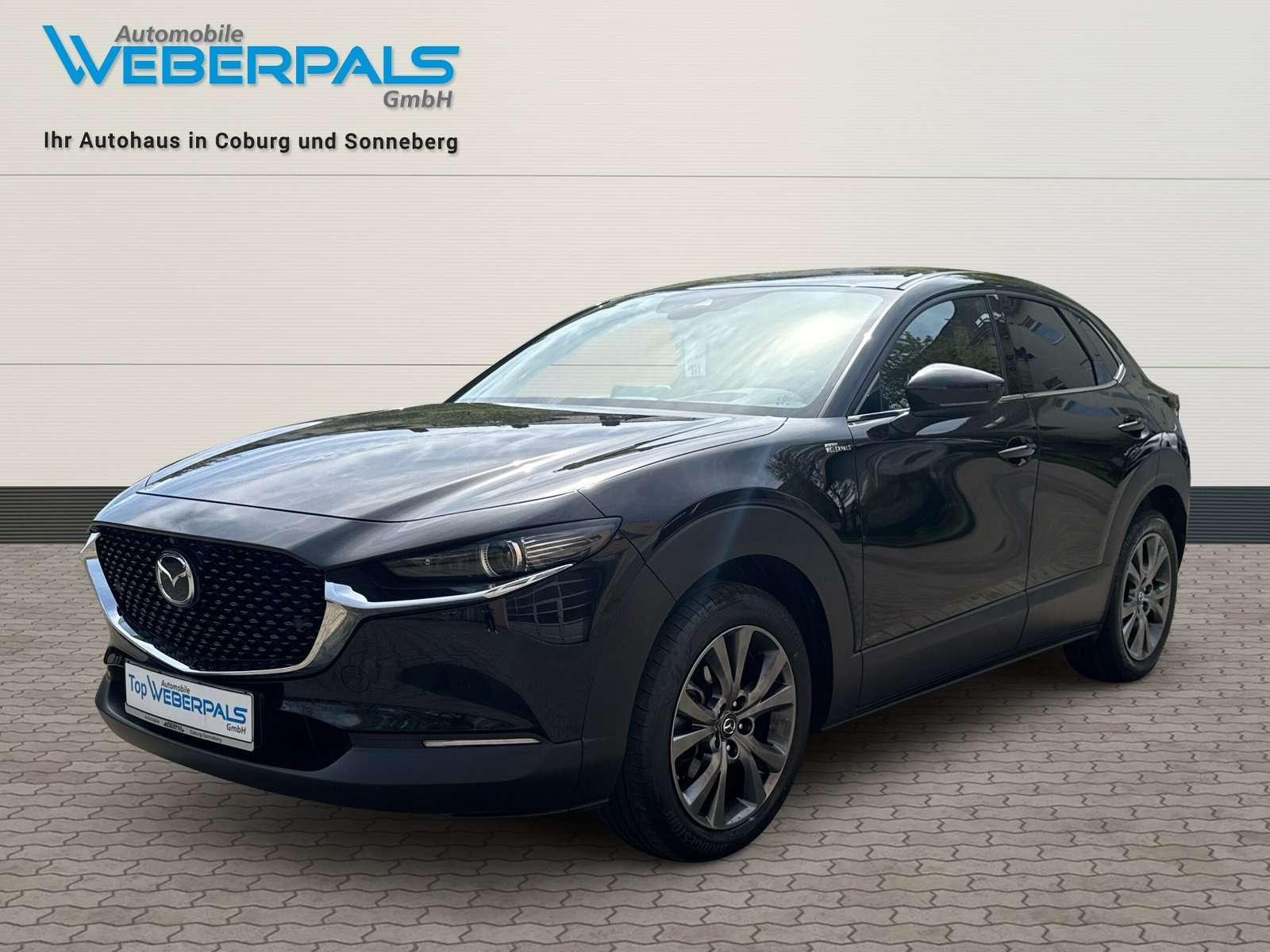 Mazda CX-30 Selection 2WD-BOSE-360 KAMERA-NAVI-SITZHEI