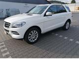 Mercedes-Benz ML 250 BlueTEC 4MATIC Top Zustand - Mercedes-Benz ML 250 aus 2014