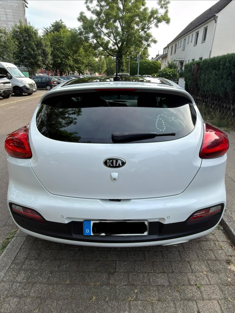 Kia pro_cee'd / ProCeed 1.6 GDI Spirit pro_cee'd...
