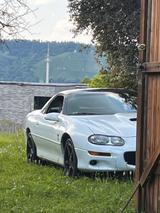 Chevrolet Camaro SS / 2002 / Schalter - Chevrolet aus 2002