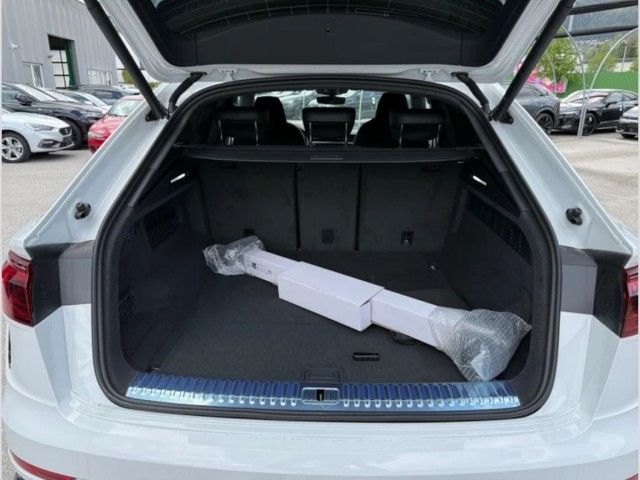 Fahrzeugabbildung Audi RS Q8 performance 4.0 TFSI quattro Carbon