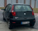 Fiat Punto / 1.2 Benzin - Fiat Punto in Hamburg
