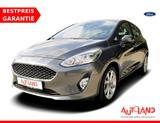 Ford Fiesta 1.0 EcoBoost Navi Klima Tempomat PDC DAB - Ford Fiesta Gebrauchtwagen in Halle
