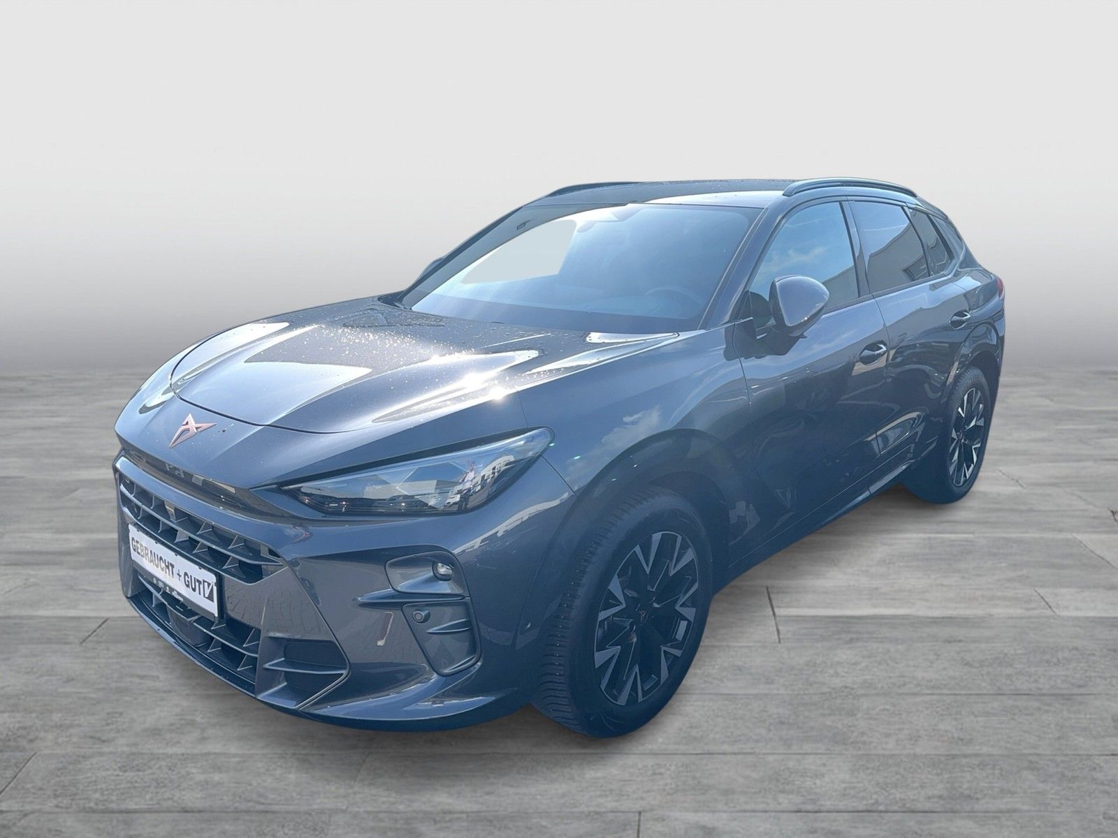 CUPRA Terramar 1.5 eTSI Matrix DCC Navi el.HK 360°Kam