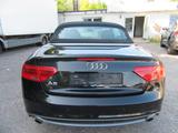 Audi A5 Cabriolet 1.8 TFSI - Audi A5 mit Benzin-Antrieb