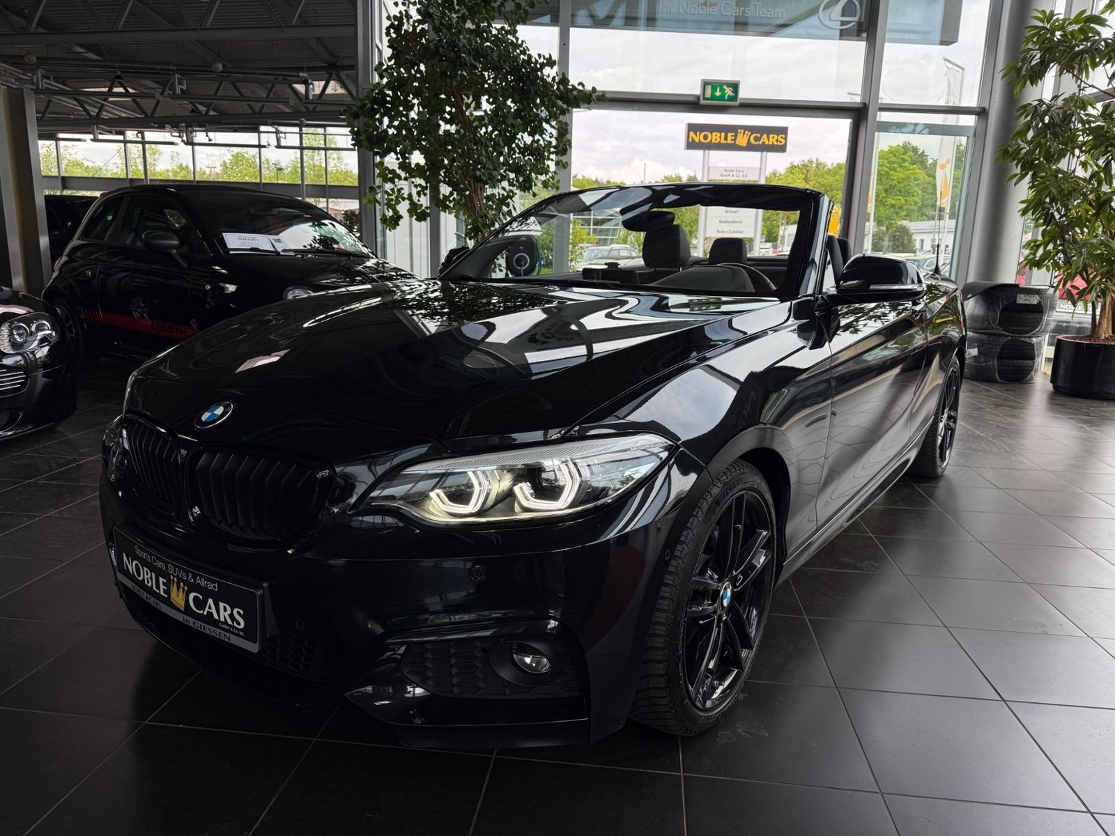 Fahrzeugabbildung BMW 220i Cabrio M Sport H/K LED NAV PDC SHZ 18"