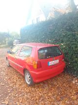 Volkswagen Polo 1.7 SDI Basis Youngtimer - Volkswagen Polo: Sdi