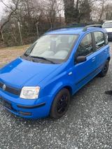 Fiat FIAT PANDA 1.1 2006 FÜR BASTLER/EXPORT - Fiat Panda in Mainz