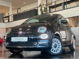 Fiat 500 1.0 Mild Hybrid Dolcevita Navi Pano DAB PDC - Fiat 500 aus 2023
