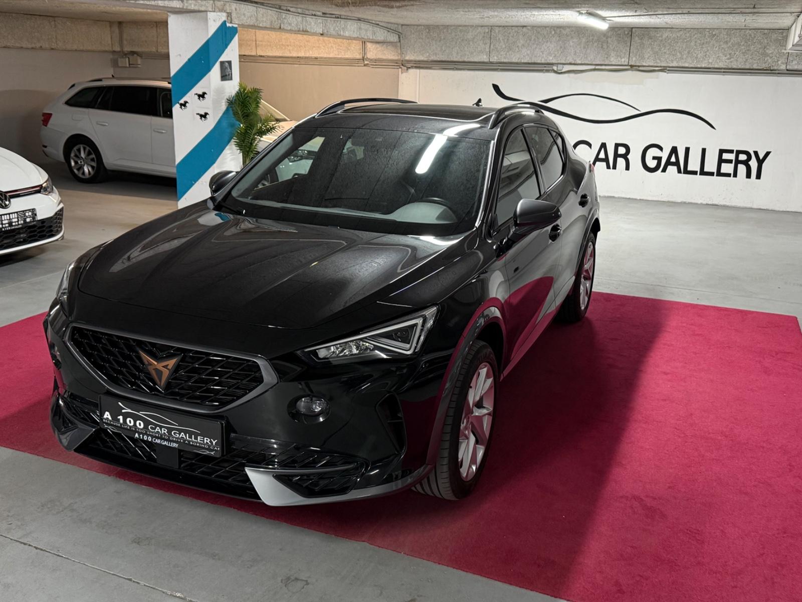 Cupra Formentor Basis*Matrix*Assist*AppCar*Panorama*1H