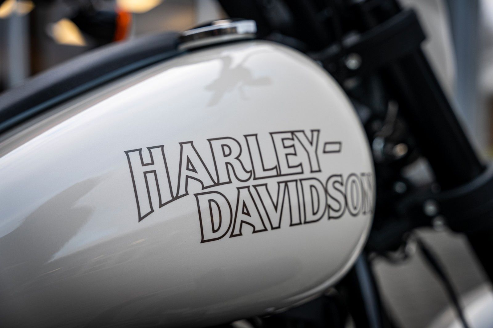 Fahrzeugabbildung Harley-Davidson LOW RIDER S 117 FXLRS MY23 - HeinzBikes