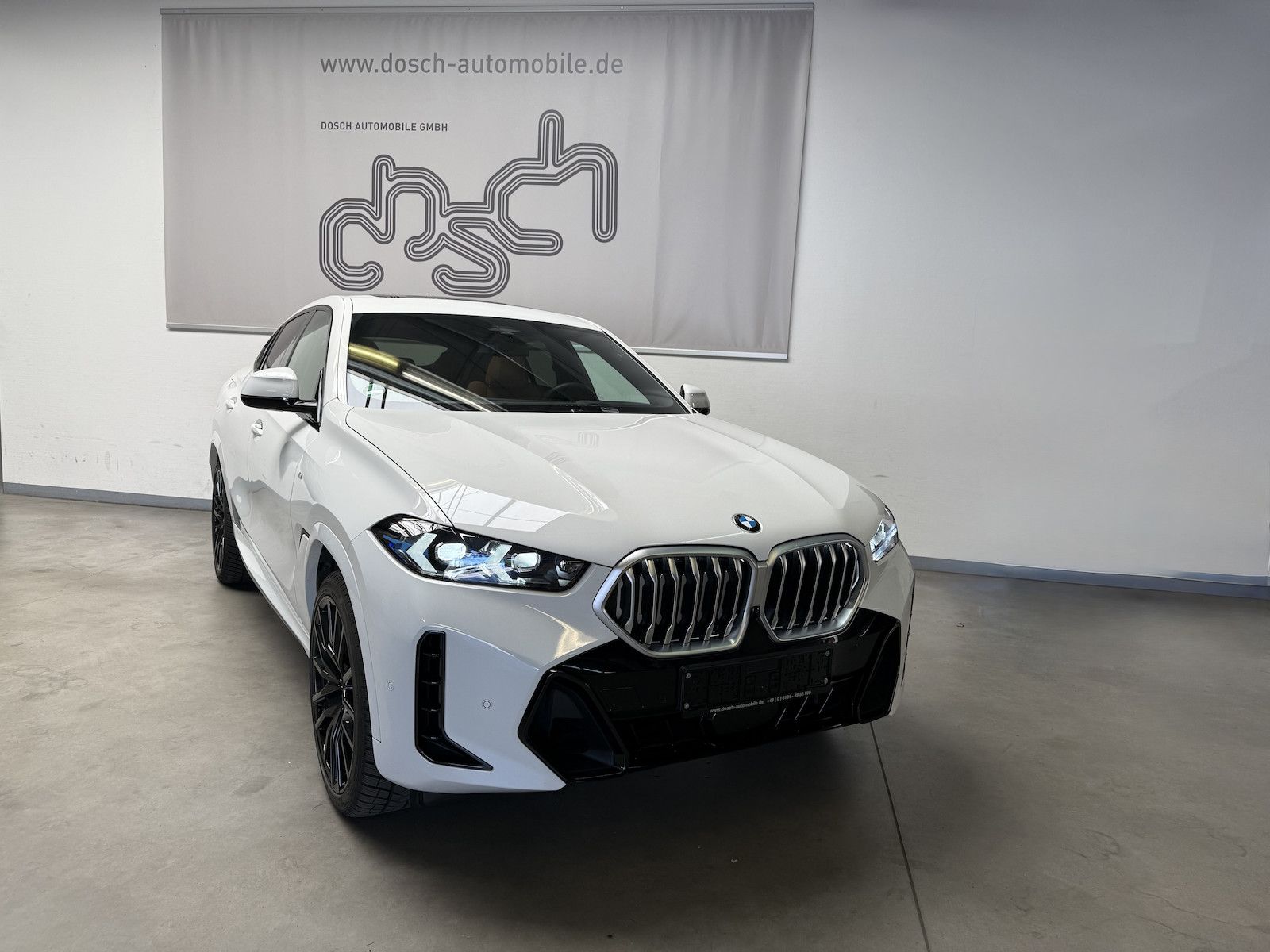 BMW X6 30 d xDr. M Sport/Softcl/ICONIC/PANO/HUD