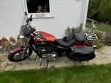Harley-Davidson 1200C Sportster - HARLEY-DAVIDSON SPORTSTER 1200 C