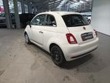Fiat 500 1.0 MHD Cult Klimaanlage|DAB - Fiat 500: Cult