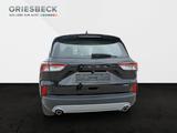 Ford Kuga Titanium FHEV +ACC+BLIS - Ford mit Benzin-Antrieb: Geländewagen, Automatik