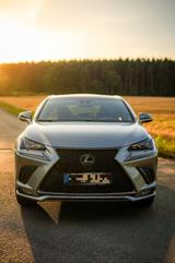 Lexus NX300h F-SPORT, Pano, 360, ACC, Allrad, Garantie - Lexus: Nx