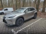 Lexus NX 300h E-FOUR Luxury Line - Lexus in Duisburg