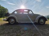Volkswagen Käfer  1200 A - BJ 1965 - beige - Schiebedach  - gebrauchte VW Käfer aus dem Jahr 1965