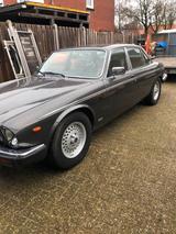 Jaguar. Van de plas.  V 12 dubbele 6 - Jaguar Gebrauchtwagen von 1985