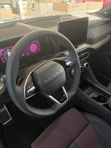 Skoda Kodiaq 2.0 TSI 195 kW 4x4 RS - gebrauchte Skoda Sportwagen