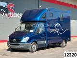 Mercedes-Benz Sprinter 319 CDi KHG Mystic Pferdetransporter - Tier-/Pferdetransport 3 pferde