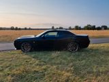 Dodge Challenger  R/T ScatPack SRT 6.4L - Dodge Challenger aus 2020