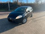 Fiat Punto 1.4 KLIMAANLAGE/TÜV01.2026 - Fiat Punto in Köln