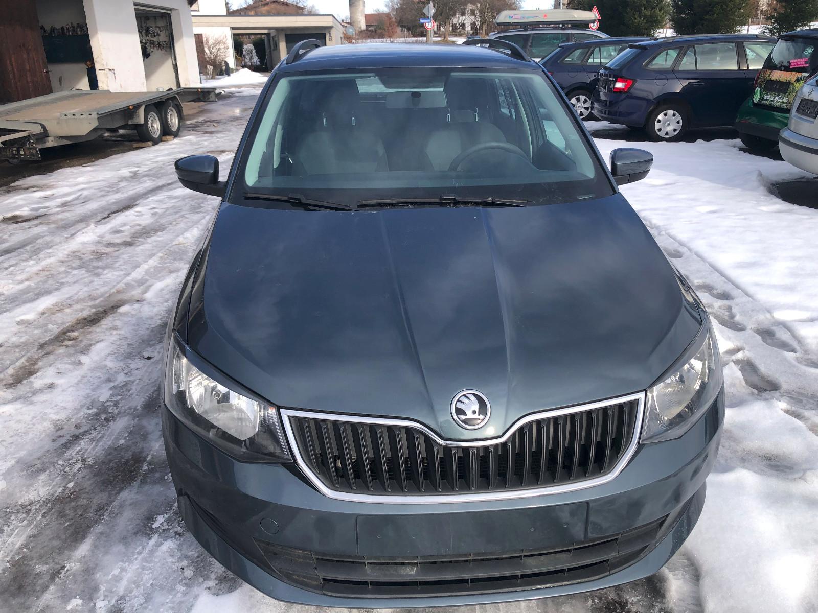 Skoda Fabia Combi Active 1Jahr Garantie