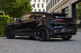 Lamborghini Urus 4.0 V8 SE | NOVITEC ESTESO | CARBON - Lamborghini in Wuppertal