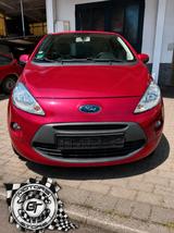Ford Ka Ka+ 1.2 8V 69CV Titanium - Ford Ka/Ka+ mit Schiebedach
