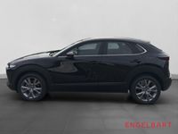 Mazda CX-30 - Vorschau Bild 2