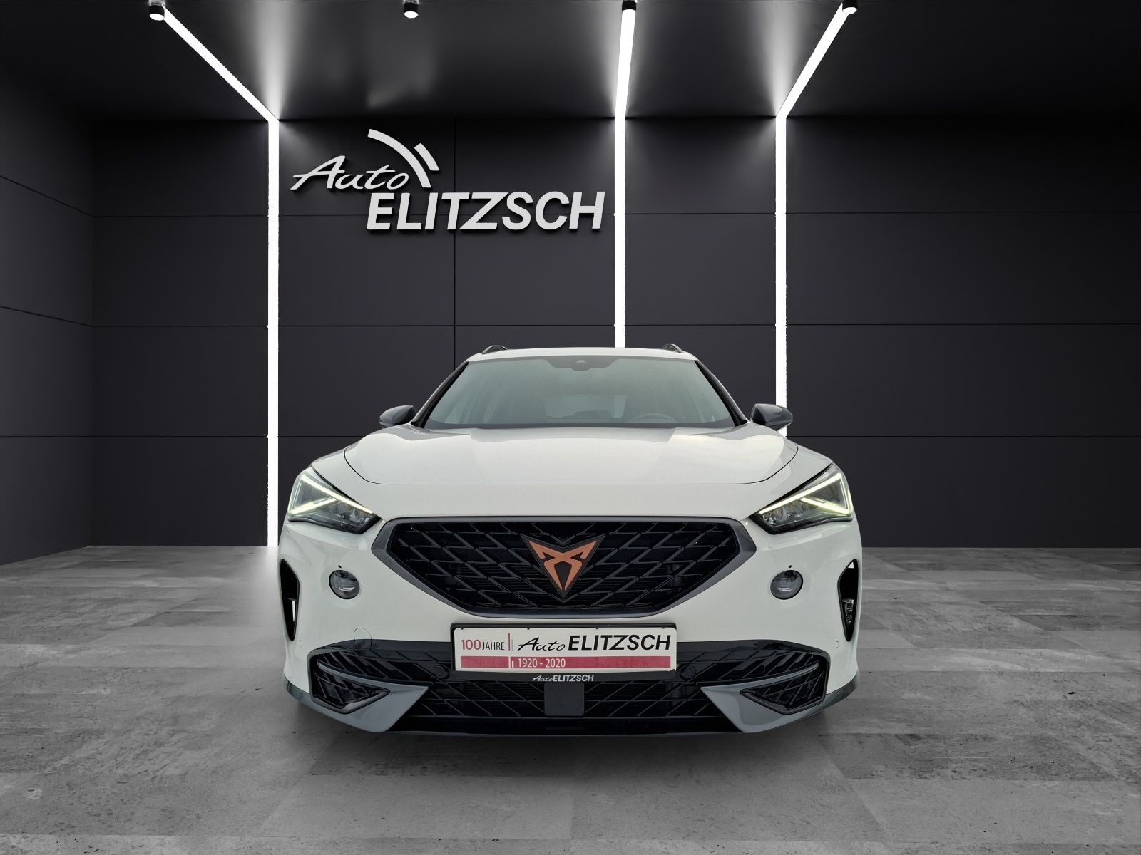 Fahrzeugabbildung CUPRA Formentor TSI DSG 4Drive LED Navi Pano AID ACC R