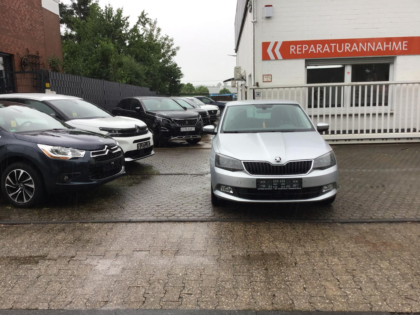 Skoda Fabia Joy