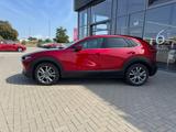 Mazda CX-30 2.5 (140PS) FWD Autom. Takumi Leder-S Allw - Mazda CX-30 Gebrauchtwagen in Frankfurt