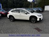 Subaru XV Comfort - weiße Subaru XV