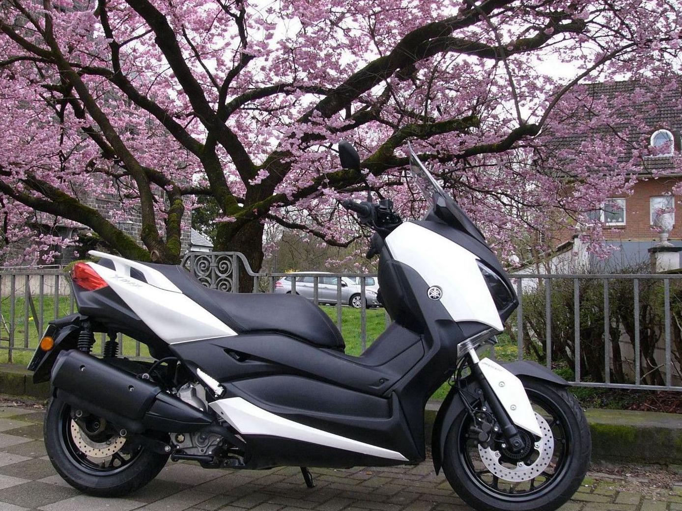Yamaha CZD 300 A / X-MAX 300 ABS (SH08) -neuwertig-
