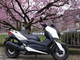 Yamaha CZD 300 A / X-MAX 300 ABS (SH08) -neuwertig- - YAMAHA C MAX