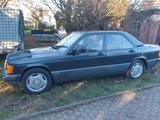 Mercedes-Benz 190 Sportline - Mercedes-Benz 190: Sport